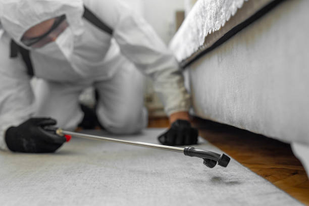 Professional Termite Control technician working in Newbern, TN