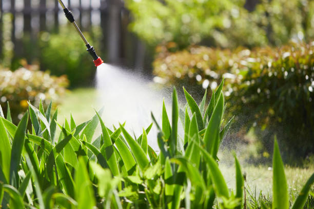 24/7 Emergency Termite Control experts in Newbern, TN