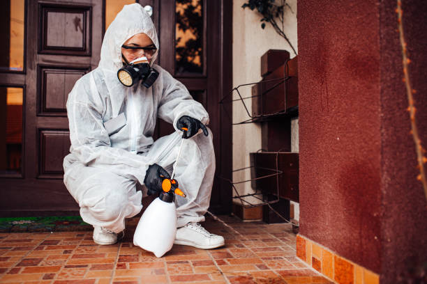Reliable Termite Control contractor in Newbern, TN by Nex Pest Control