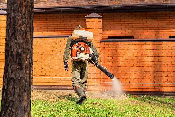 Top rated local Termite Control specialists in Newbern, TN